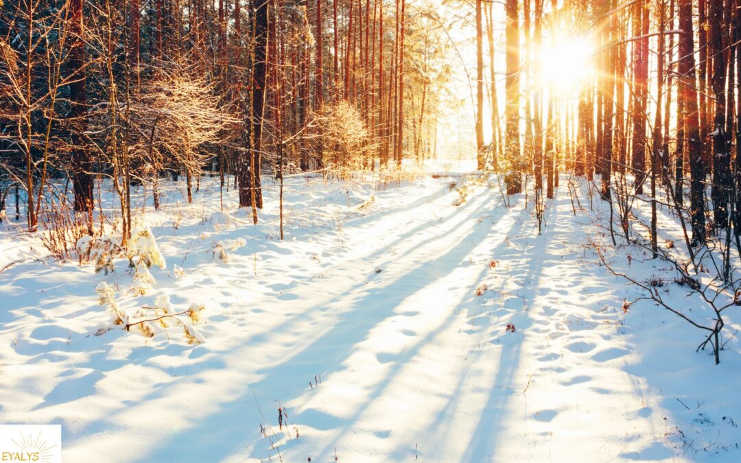 Atelier Yoga Saison – HIVER – 10 janvier